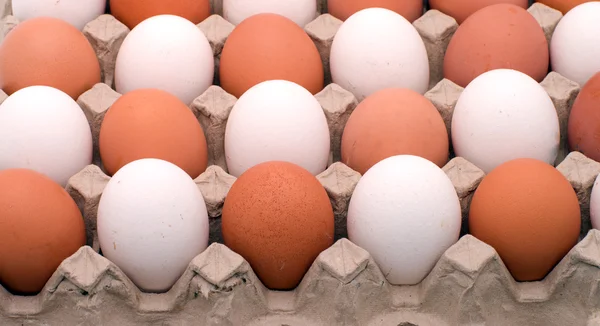 Hintergrund aus Eiern. — Stockfoto