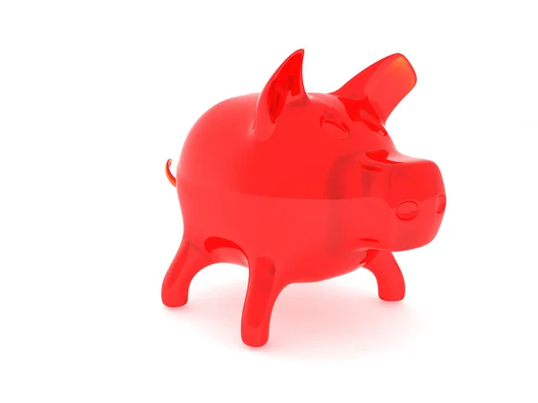 Para kutusu domuzun teki — Stok fotoğraf