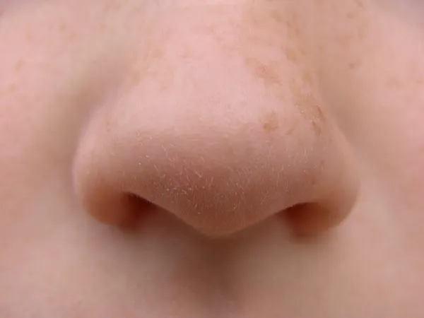 鼻子 — 图库照片
