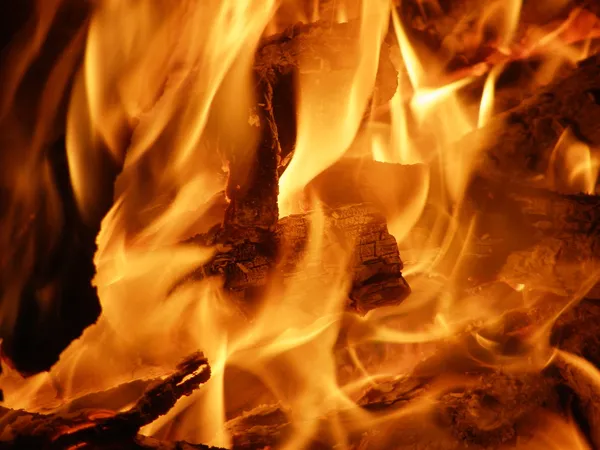 The bonfire — Stock Photo, Image