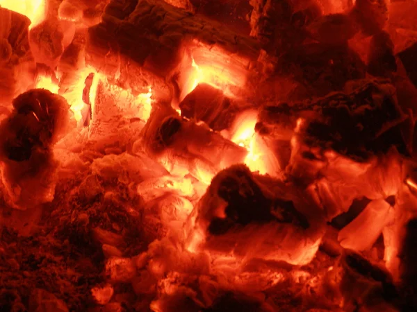 The bonfire — Stock Photo, Image