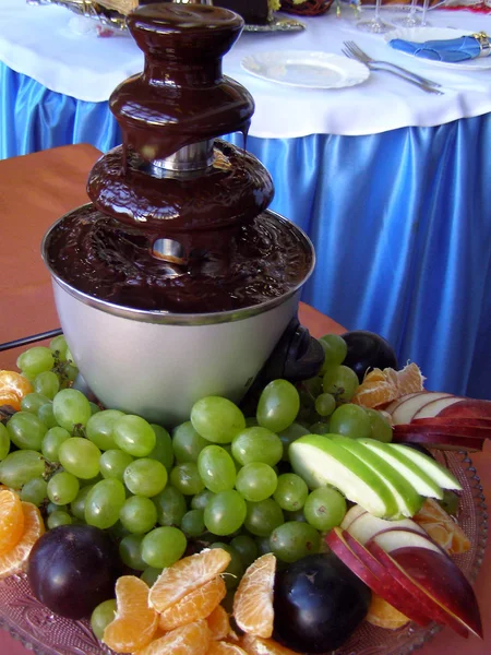 Dessert from the chocolate fountain — Stock Photo, Image