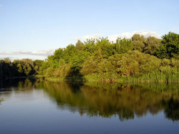 Refleksja nad rzeką — Zdjęcie stockowe