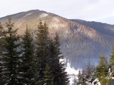 Karpatlar