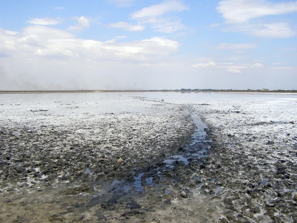 stock image Salt lake with path of mud