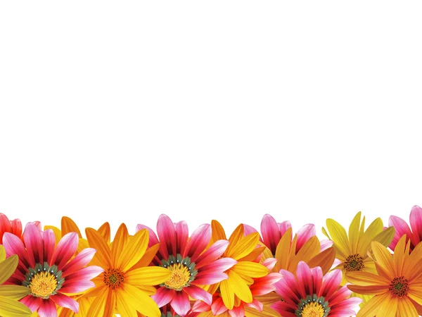 꽃무늬 — 스톡 사진