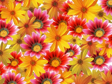 Flower background clipart