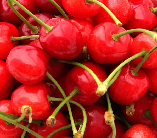 stock image Cherry background