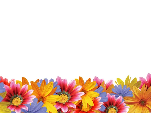 Flower frame 2 — Stock Photo, Image