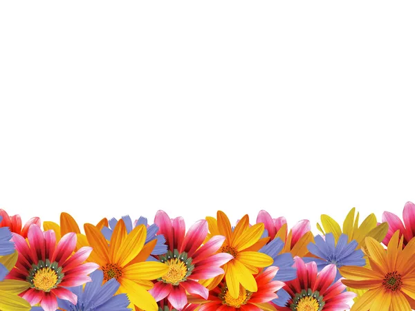 Květinový rámeček 2 — Stock fotografie