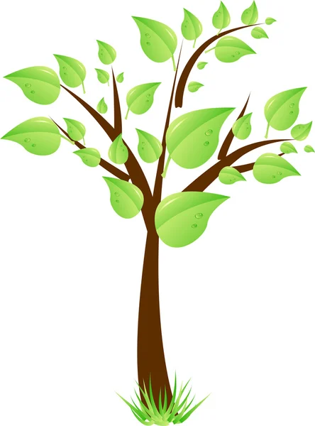 Árbol de belleza con hojas verdes y hierba — Vector de stock