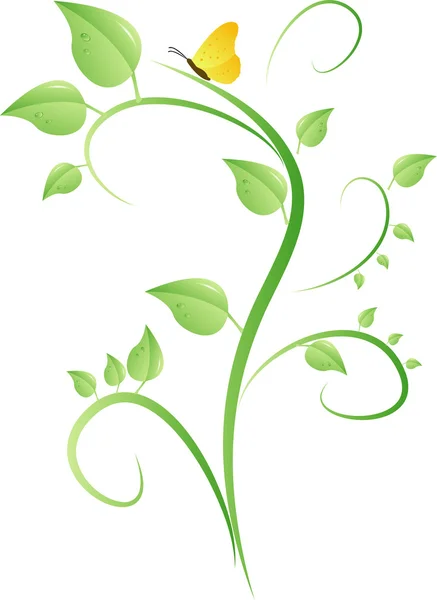 Bush avec feuilles et papillon — Image vectorielle