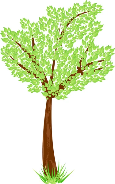 Skönhet träd med gröna blad och gräs — Stock vektor