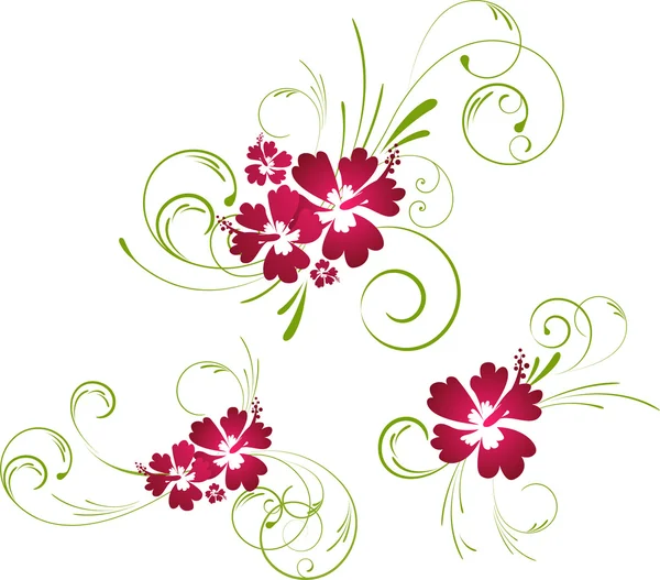 Hibisco elementos florais —  Vetores de Stock