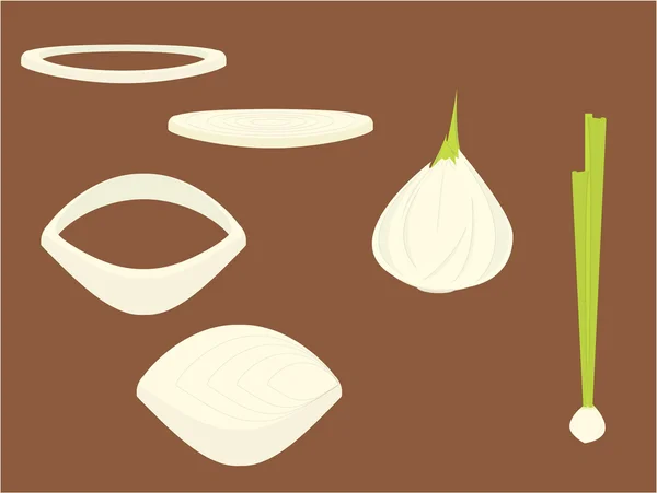 Cebollas — Archivo Imágenes Vectoriales