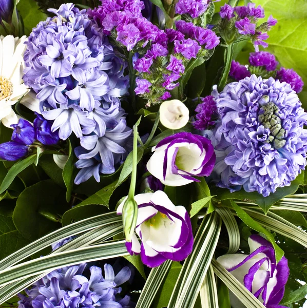 Blue fuzzy (hyacinthus orientalis) bouqu — Stock Photo, Image