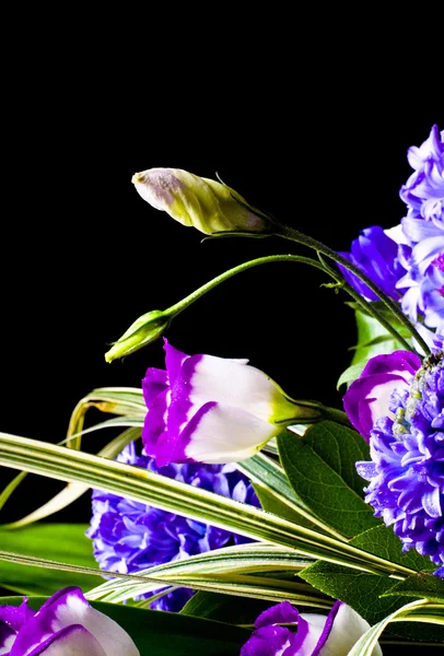 Bud of flower — Stock Photo, Image