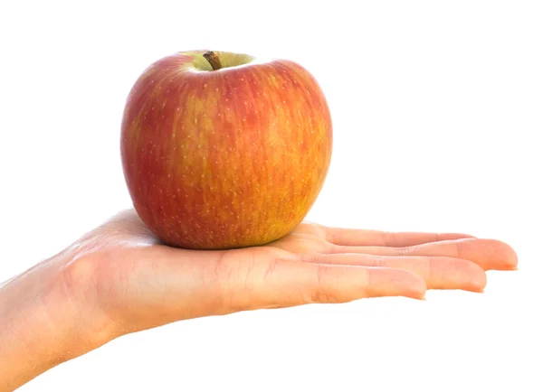 Красное яблоко на женской руке — стоковое фото