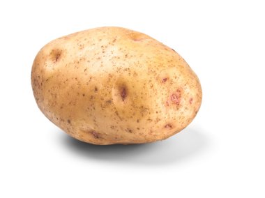 Single potato in peel clipart