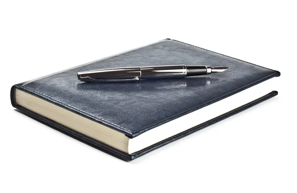 stock image Fountain pen on diary