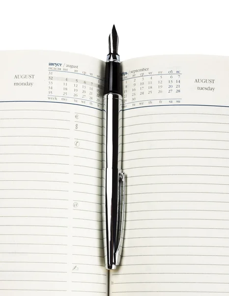 Dolma kalem günlüğü üzerinde — Stok fotoğraf