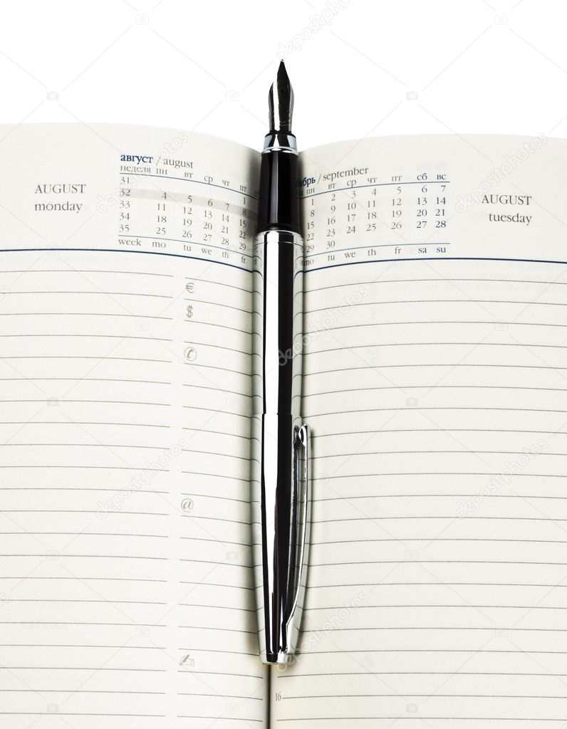 Fountain pen on diary