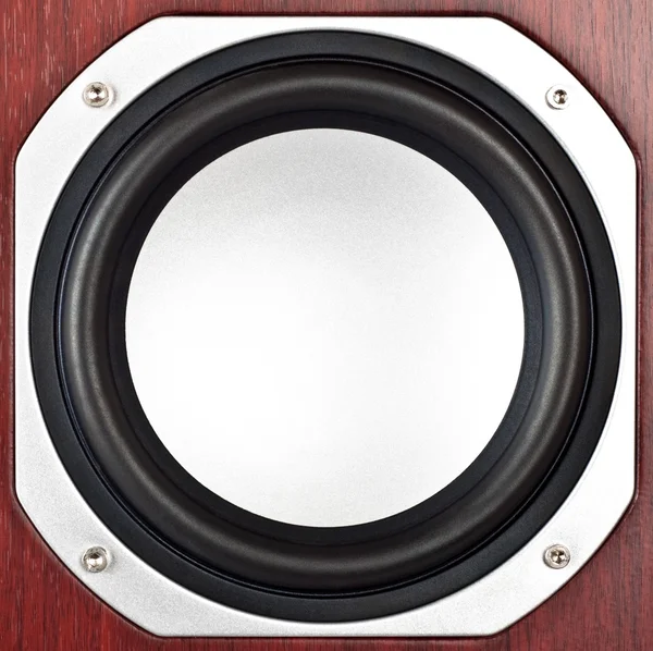 Speaker closeup — Stock Photo, Image