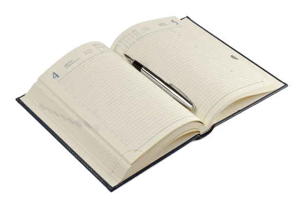 Фонтанна ручка на відкритому щоденнику — стокове фото