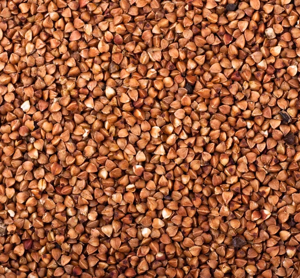 Brown buckwheat — Stock Photo, Image