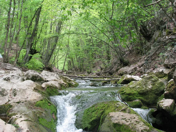 stock image Waterfall