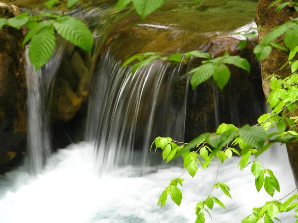 stock image Waterfall