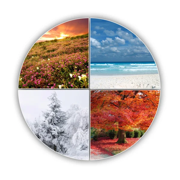 Seasons — Stock Photo, Image