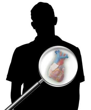 Heart clipart