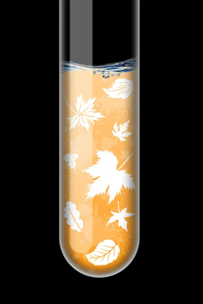Ilustração do outono em um tubo de ensaio em fundo preto — Fotografia de Stock
