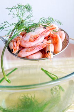 Boiled shrimps with dill