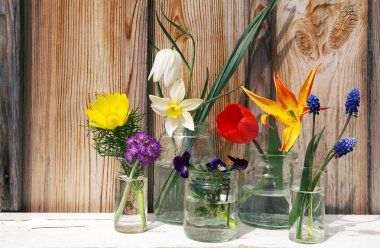 Spring flowers display on wood backgroun clipart