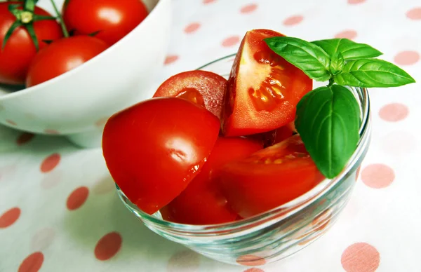 Rajčata s bazalkou — Stock fotografie