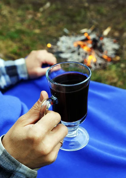 Piknikteki sıcak mulled şarap