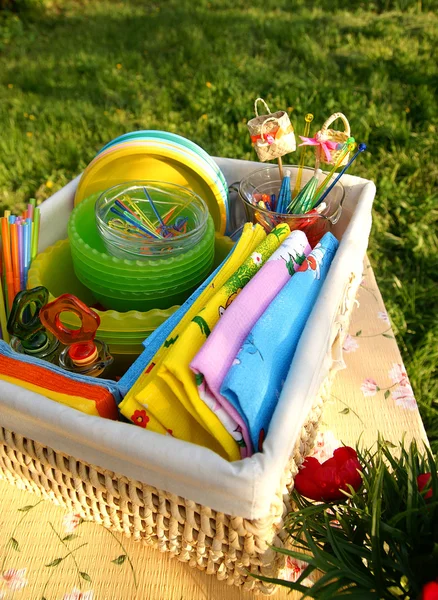 Bright multicolor summer picnic accessor — Stock Photo, Image
