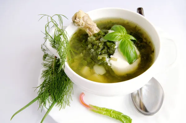 Zielona shchi z kurczaka w misce biały — Zdjęcie stockowe