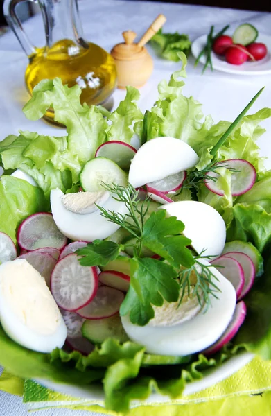 健康丰富夏季蔬菜沙拉 — 图库照片