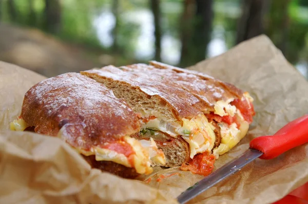 Vegetable bread at a picnic — Stock Photo, Image