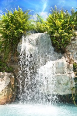 Mountain waterfall in malaysia rainfores clipart