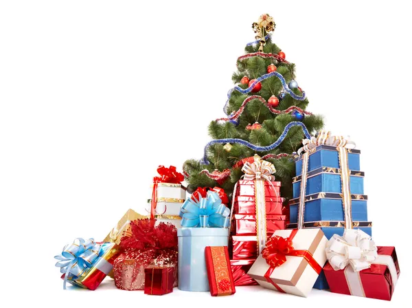 Christmas tree and group gift box. — Stock Photo, Image