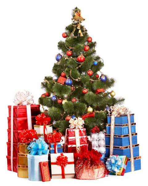 Christmas tree and group gift box. — Stock Photo, Image