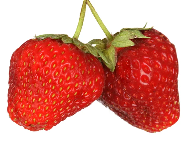 Pair of red ripe strawberry. — Stock Photo, Image