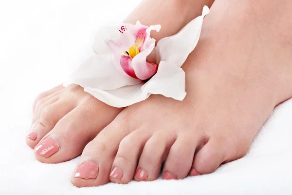 Woman foot with flower lily. — Stock Photo, Image
