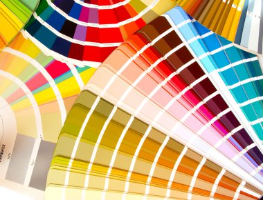 What color to choose? clipart