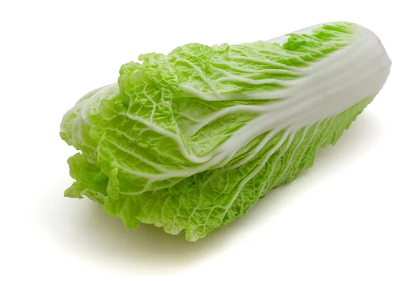 白菜 — ストック写真