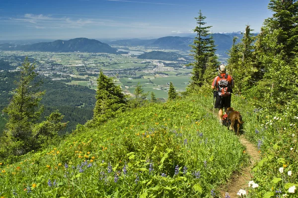 Hiker and dog — Stock Photo, Image